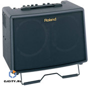 Roland AC-60 (Лучший комбик в мире для ак. гитары)